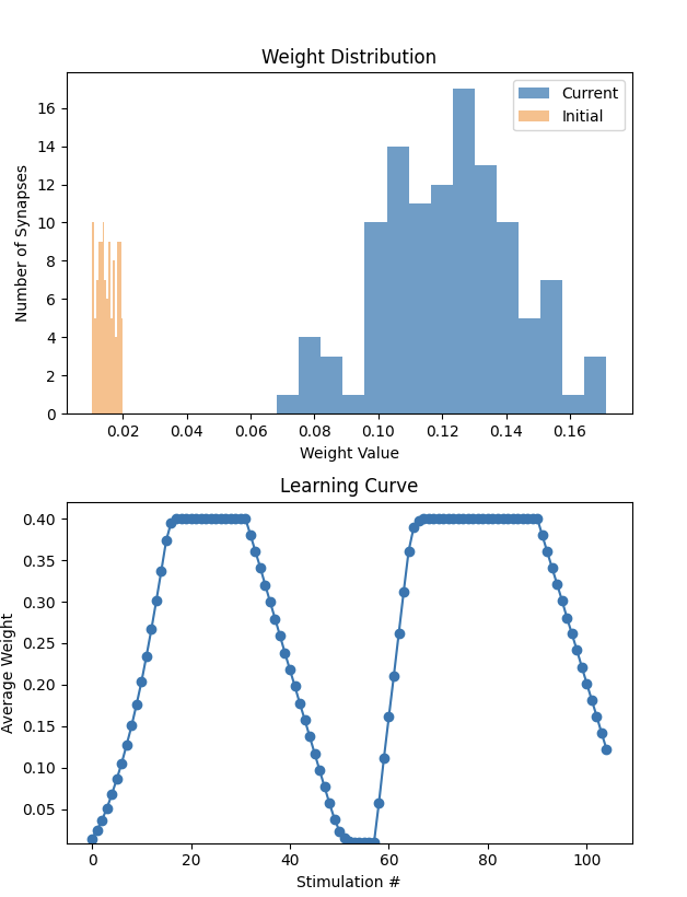 Histogram of synaptic weights before and after learning, and the learning curve under positive then negative reinforcement